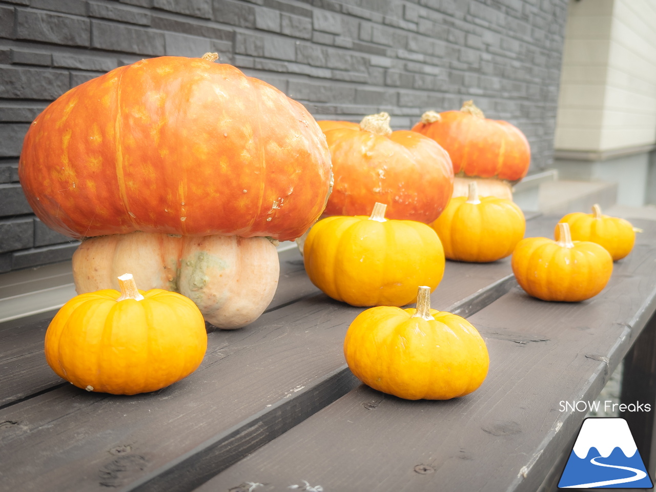 ローカルな展望台に、美味しいグルメ…。ちょっとディープな秋の深川市を電動アシスト自転車『ADO Air Carbon』でサイクリング旅(^^)/